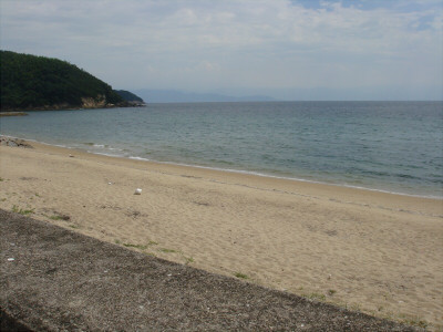 121-b459b.jpg