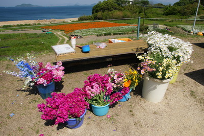 DSC03942.JPG