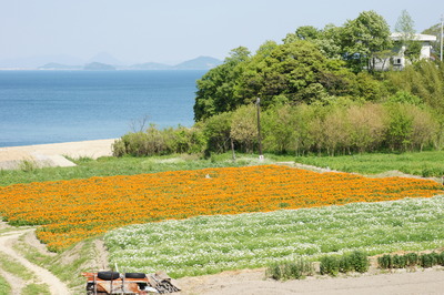 DSC03948.JPG
