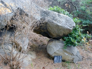 DSCN1518 (450x338).jpg
