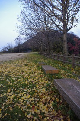 IMGP0159.jpg
