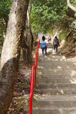IMGP0328.JPG