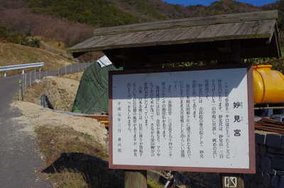IMGP0387.JPG