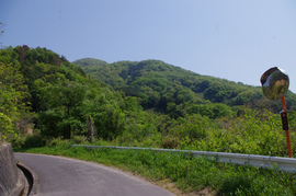 IMGP3316.jpg