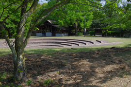 IMGP3325.jpg