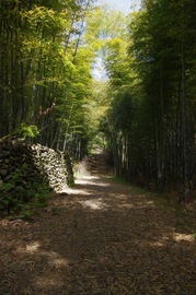 IMGP3330.jpg