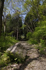 IMGP3336.jpg