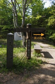 IMGP3358.jpg