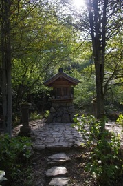 IMGP3359.jpg