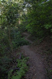 IMGP3366.jpg