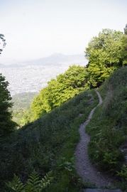 IMGP3370.jpg