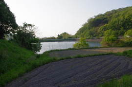 IMGP3380.jpg