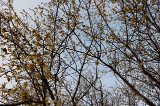 IMG_0073 (800x533).jpg