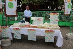 IMG_1138 (250x167).jpg
