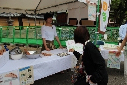 IMG_1139 (250x167).jpg