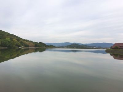 IMG_6520.jpg