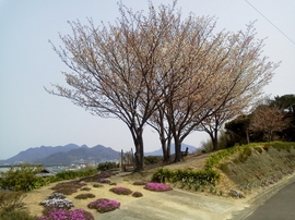 P1001323 (640x480).jpg