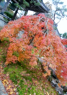 DSCN0615.JPG