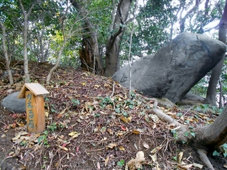 DSCN0775 (640x480).jpg