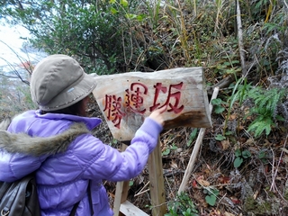 DSCN0779 (640x480).jpg